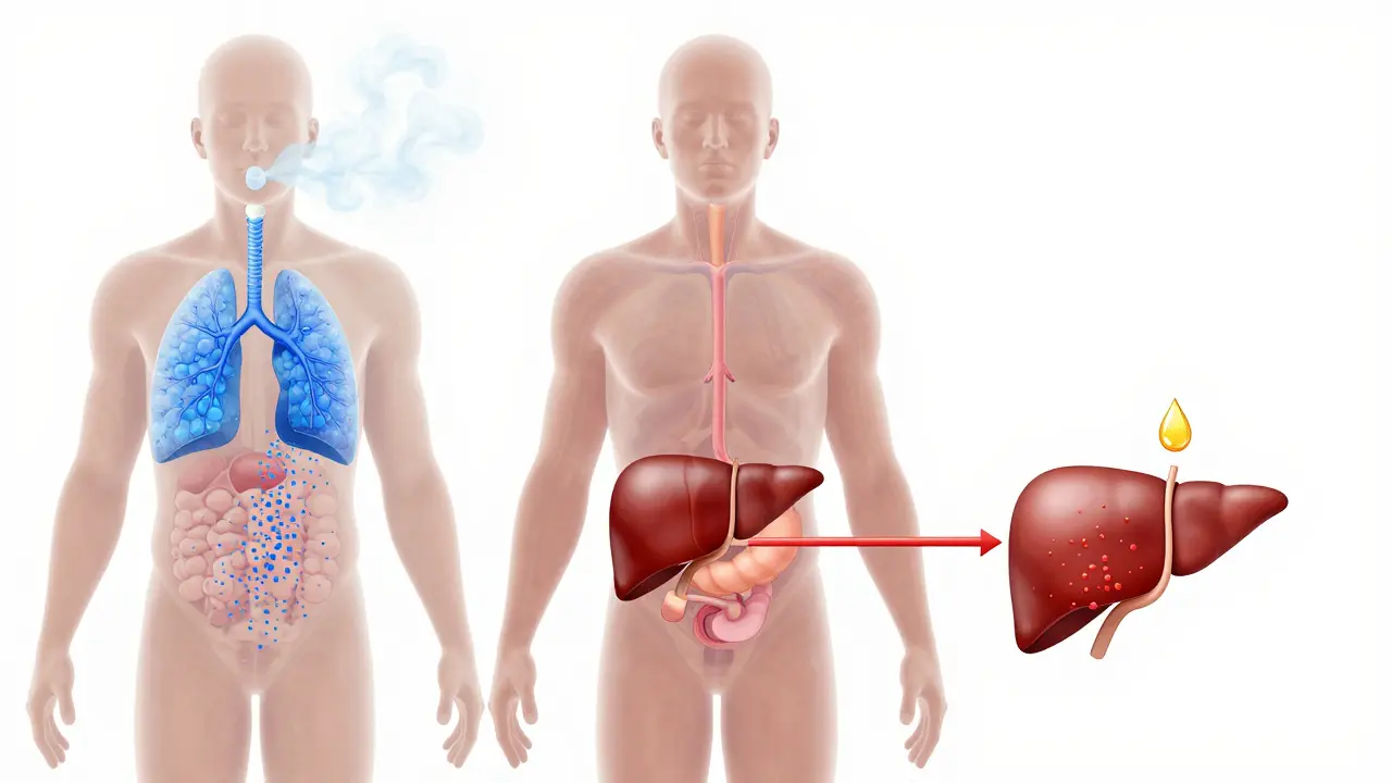 Ilustrace rozdílu v biologické dostupnosti inhalační vs orální cesty
