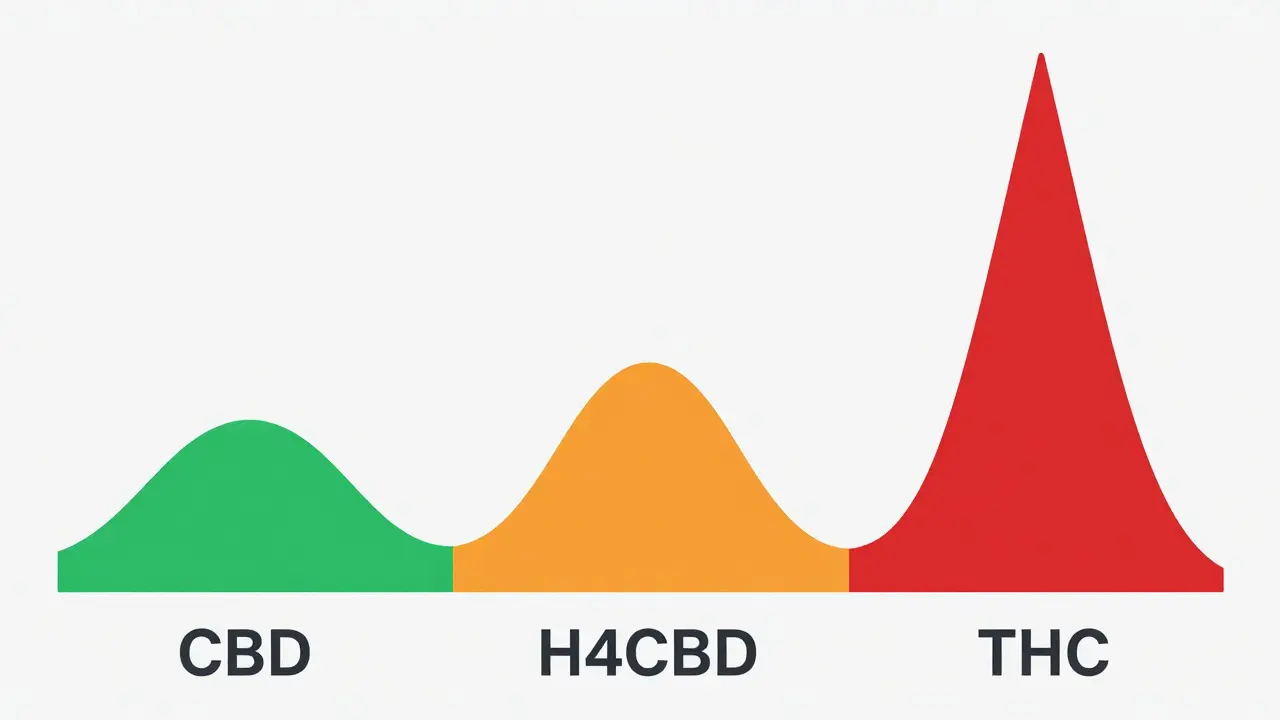 Abstraktní porovnání účinků CBD, H4CBD a THC pomocí vln